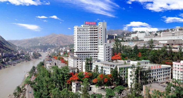 攀鋼集團(tuán)總醫(yī)院 攀鋼集團(tuán)總醫(yī)院